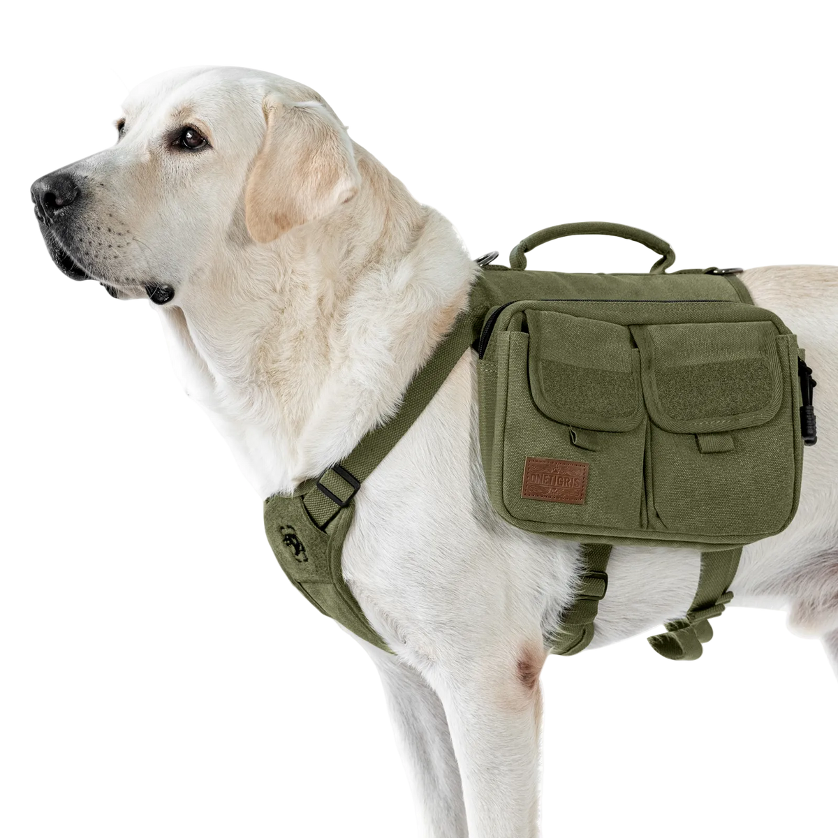 ONETIGRIS - Hoppy Camper Dog | Pack 3.0