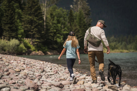 Dog Harness vs Collar: Which Should You Use?
