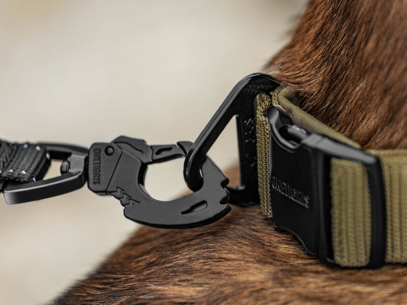 ONETIGRIS - X11 Dog Collar