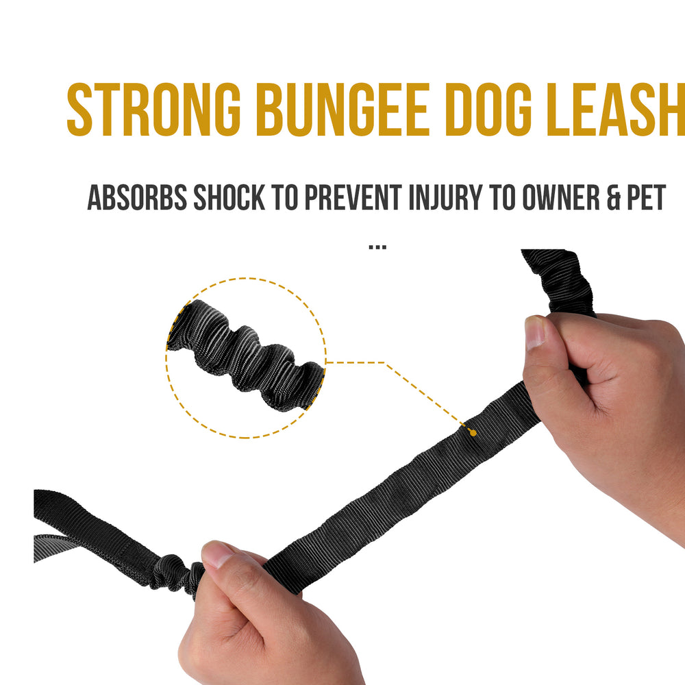 ONETIGRIS - Dog Leash | 110