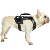 ONETIGRIS - X Armor Mini Dog Harness