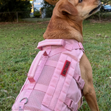 ONETIGRIS - AIRE Mesh Dog Harness